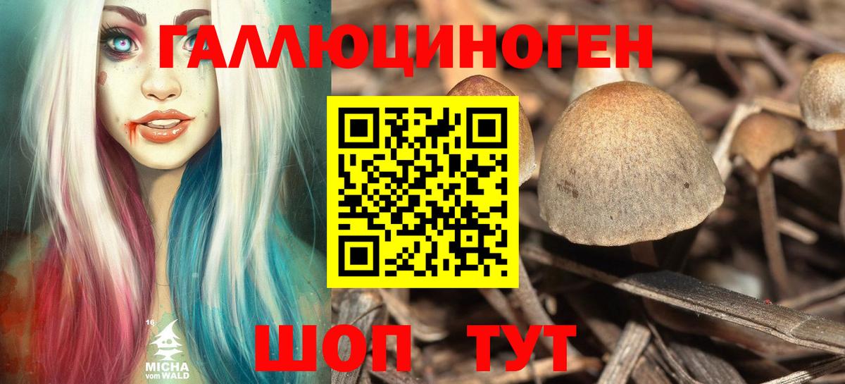 Галлюциногенные грибы Psilocybine cubensis Чапаевск