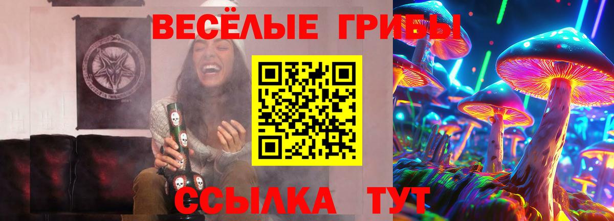 Галлюциногенные грибы мухоморы  магазин  наркотиков  Чапаевск  Вход с VPN  Галлюциногенные грибы Cubensis 